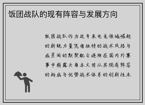 饭团战队的现有阵容与发展方向